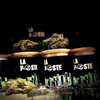 La Poste - Ice Cream Cake Indoor @ 31.62% THC